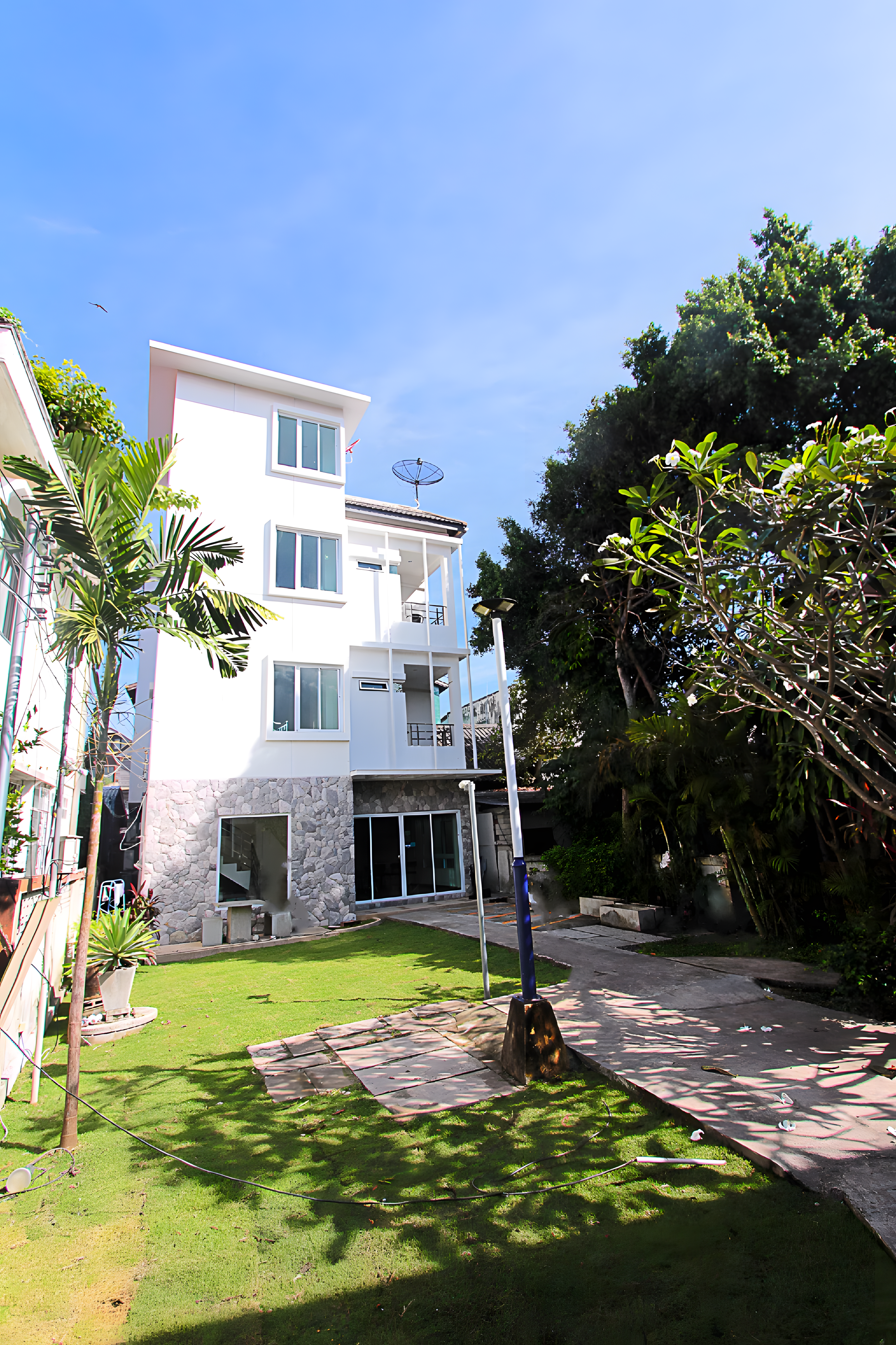 Zayn Samui
